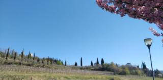 Agricampeggio Oro Verde - 2