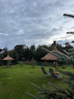 Villa de Alvydo Anykščiuose - 5