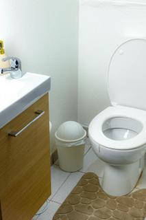 Emeraude & Lagon - Pointe-à-Pitre - 3