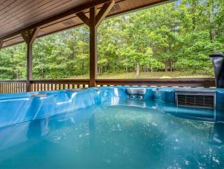 Hot Tub - Cabin Retreat -Firepit - Lake Lure - Chimney Rock - 9