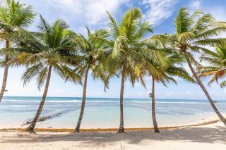 Beachfront 4beds Jacuzzi Privacy Full Kitchen - 5