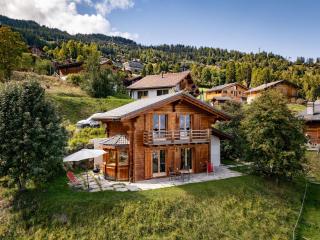 Chalet Colonia - 7