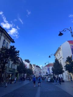 Balcescu Loft - Sibiu - 6