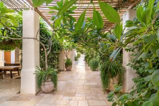 Kedma by Isrotel Collection - 5