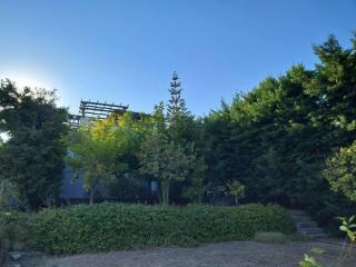 Aylida House - 3