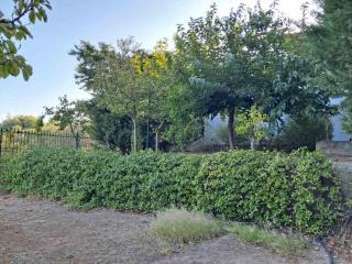 Aylida House - 2