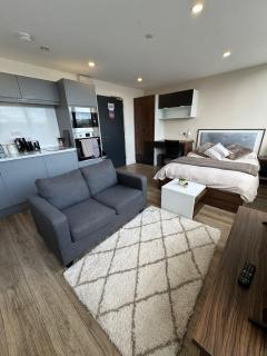 Modern Studio with City Views - 2