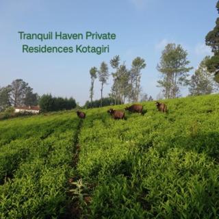 Tranquil Haven Kotagiri - 7