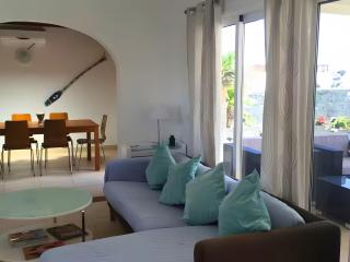 Queen Papagayo Vetusta - 7