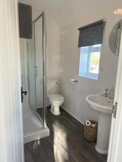 Oxwich View Cottage - 5
