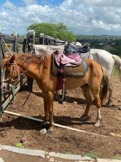 Refúgio no Monte Castelo - Tranquilidade, Conforto e Lazer - 7