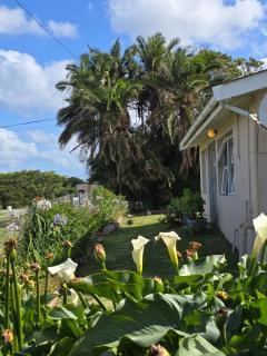 The Kei Mouth Guest Lodge Collection - 1