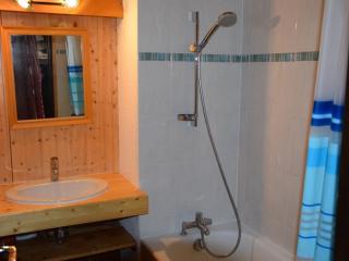 Appartement cosy aux Saisies - 2 pièces, balcon sud, à 100m des pistes, 400m commerces - FR-1-293-217 - 2