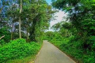 Buddothpado International Meditation Center - 2