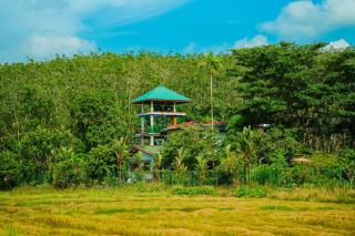 Buddothpado International Meditation Center - 1