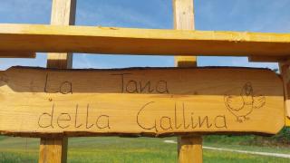 la tana della gallina - 7
