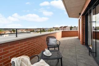 Sunny apartment with terraces in Královo Pole - 8