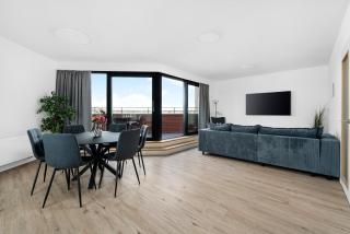 Sunny apartment with terraces in Královo Pole - 6