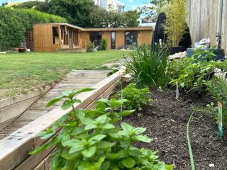 Driftwood at BotanyBay - 8