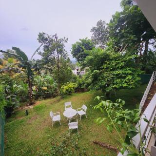 Cozy Cove Kandy - 8