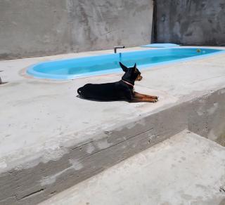 Flor do Sal - 1