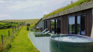 The Willow Hill - 9