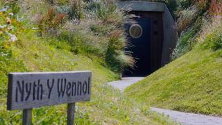 The Willow Hill - 1