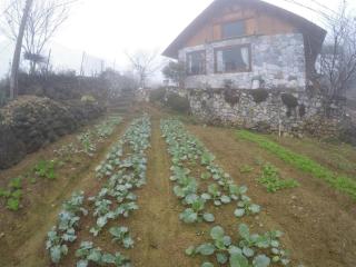 Vi's House - Nature in the middle of Hmong village - 7