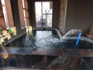 Unique Kruger Hide - 6