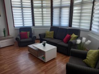 Apartmani Ćosić - Kuršumlija - 3