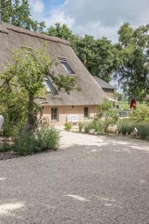 BunnyHuus Studio - 5