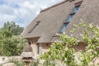 BunnyHuus Studio - 4