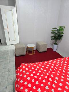 New Hostel in Tashkent - 8