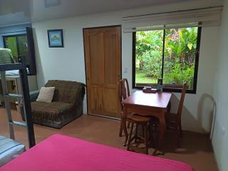 Apartment-Pura Vida-wi-fi-6 people, AC- parking-river-garden - 9