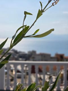 Aetherial View - 0