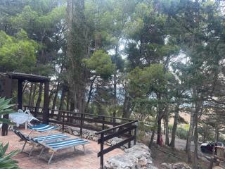 La Pineta - 4