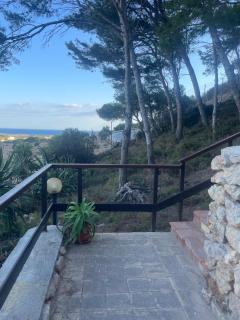 La Pineta - 7