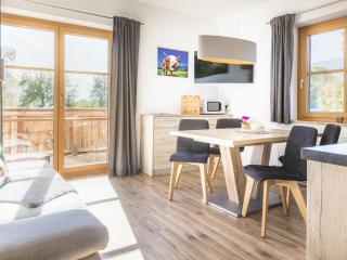 Apartment Hanserbauer-2 by Interhome - 3