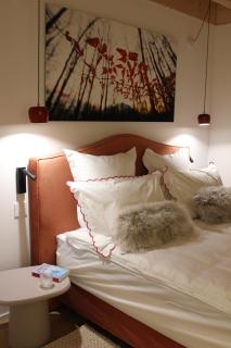 La Tzoumaz Lodge - 1