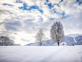 Apartment Hanserbauer-1 by Interhome - 6