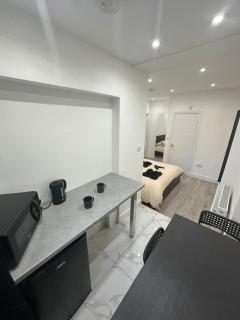 Battersea Park nearby - 4