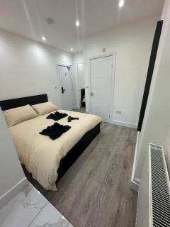 Battersea Park nearby - 1