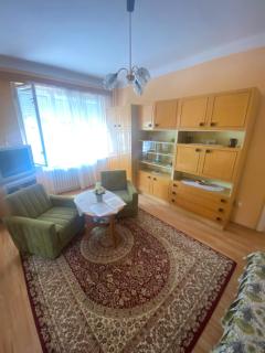 Vica Apartman - 1
