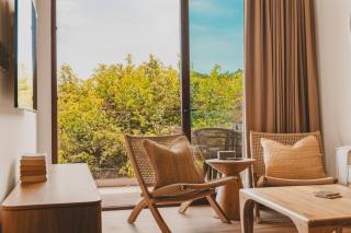 Designer Penthouse with Plunge Pool - 1