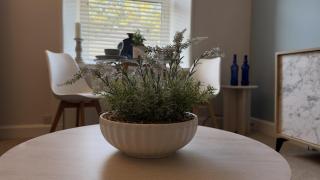 Mansfield Crescent - 3