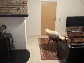 Holiday Home Karmen - 1km from the sea by Interhome - 4