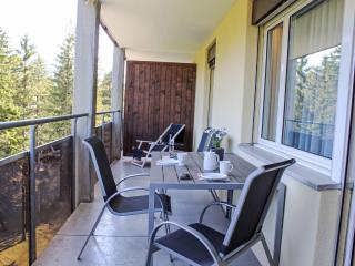 Apartment Allod Park Haus C 502 by Interhome - Davos - 7