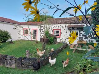 Casa Farrobo - 9