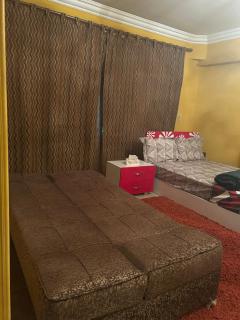 Beautiful 2 bedroom apartment near Cairo International Airport in Nasr City - 6