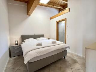 Apartment Feingeist by Interhome - 8
